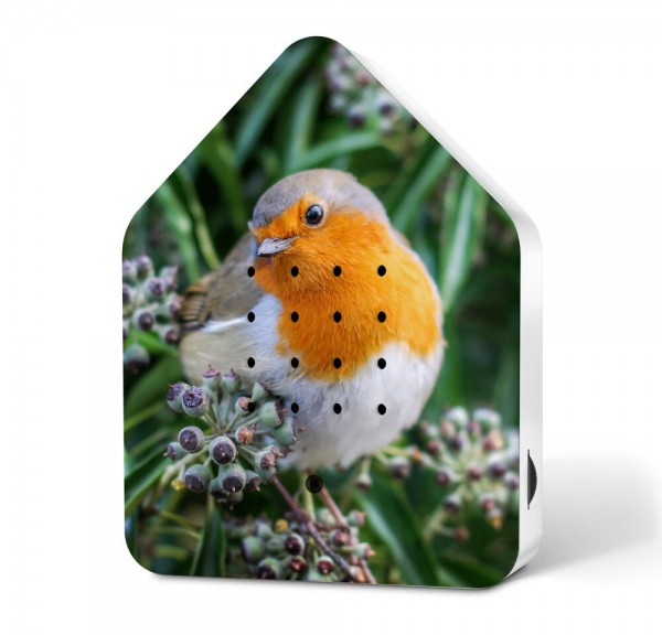 Zwitscherbox Robin Redbreast Limited Edition Vogelgezwitscher mit Bewegungsmelder