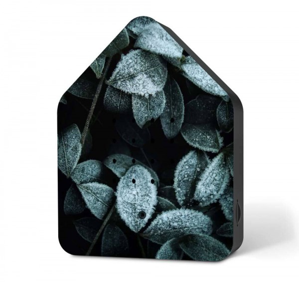 Zwitscherbox Frosty Leaves Limited Edition Vogelgezwitscher Bewegungsmelder